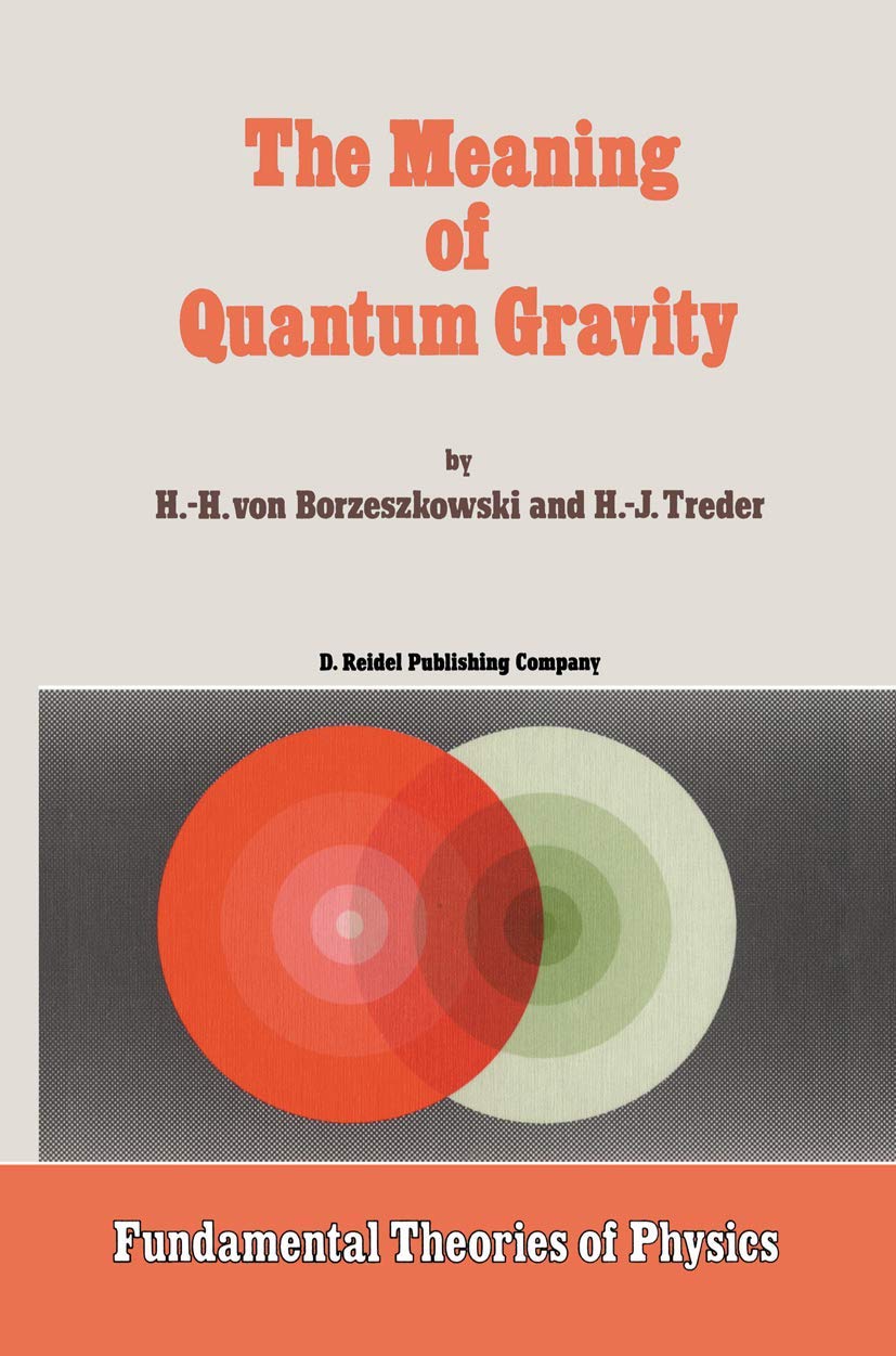 The Meaning of Quantum Gravity Professional & Reference Books