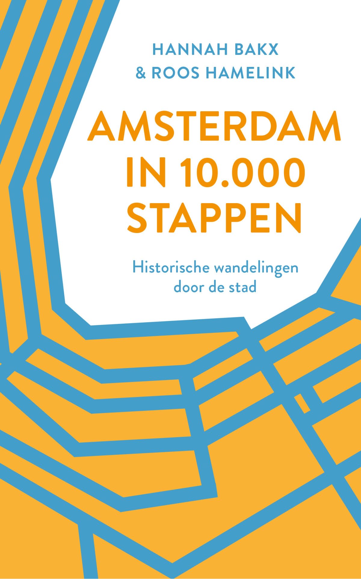 Amsterdam in 10.000 stappen: historische wandelingen door de stad book