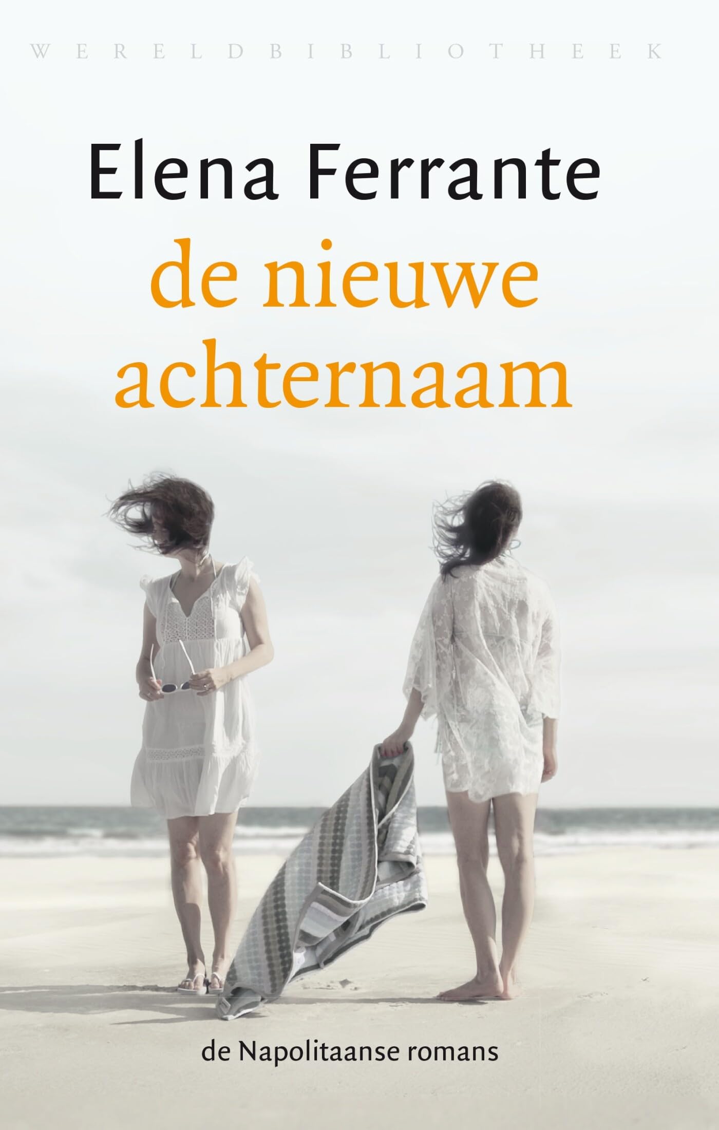 De nieuwe achternaam: adolescentie (De geniale vriendin, 2) Social Sciences