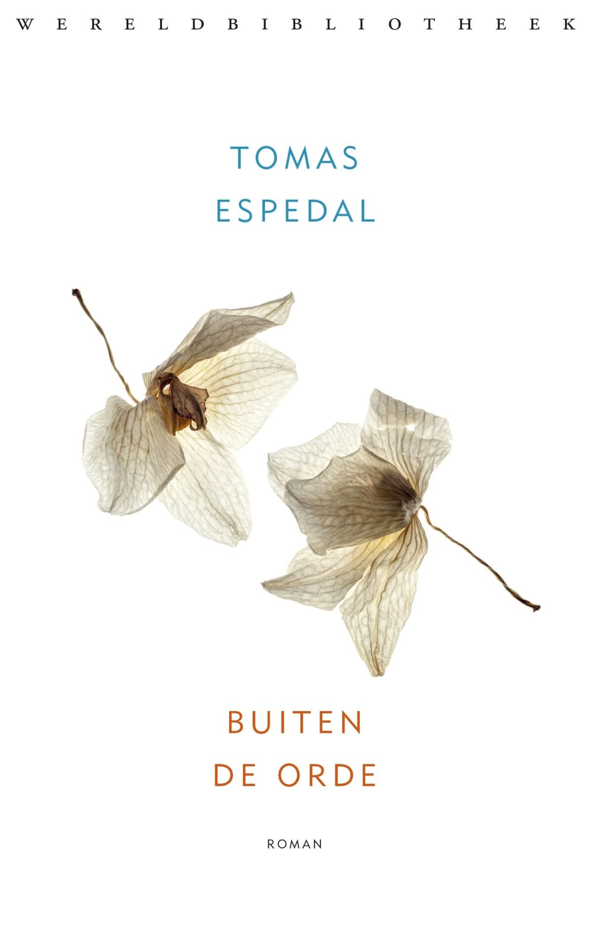 Buiten de orde: (aantekeningen) book