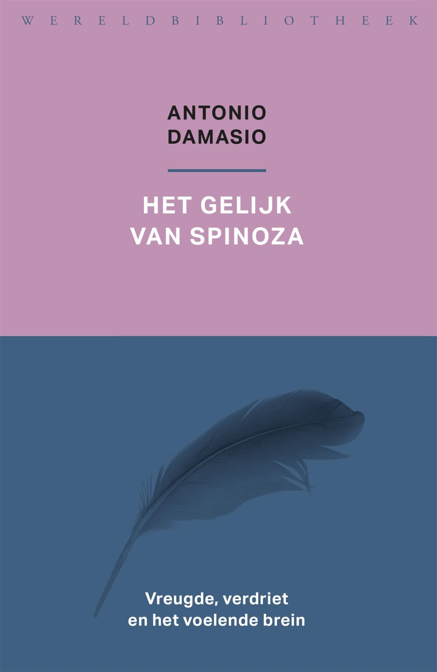 Het gelijk van Spinoza: vreugde, verdriet en het voelende brein book