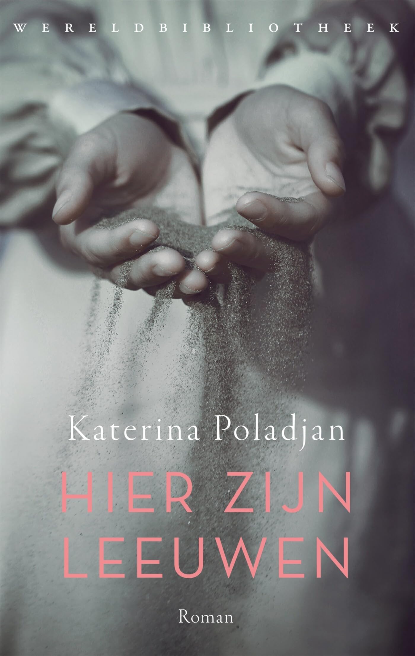 Hier zijn leeuwen book