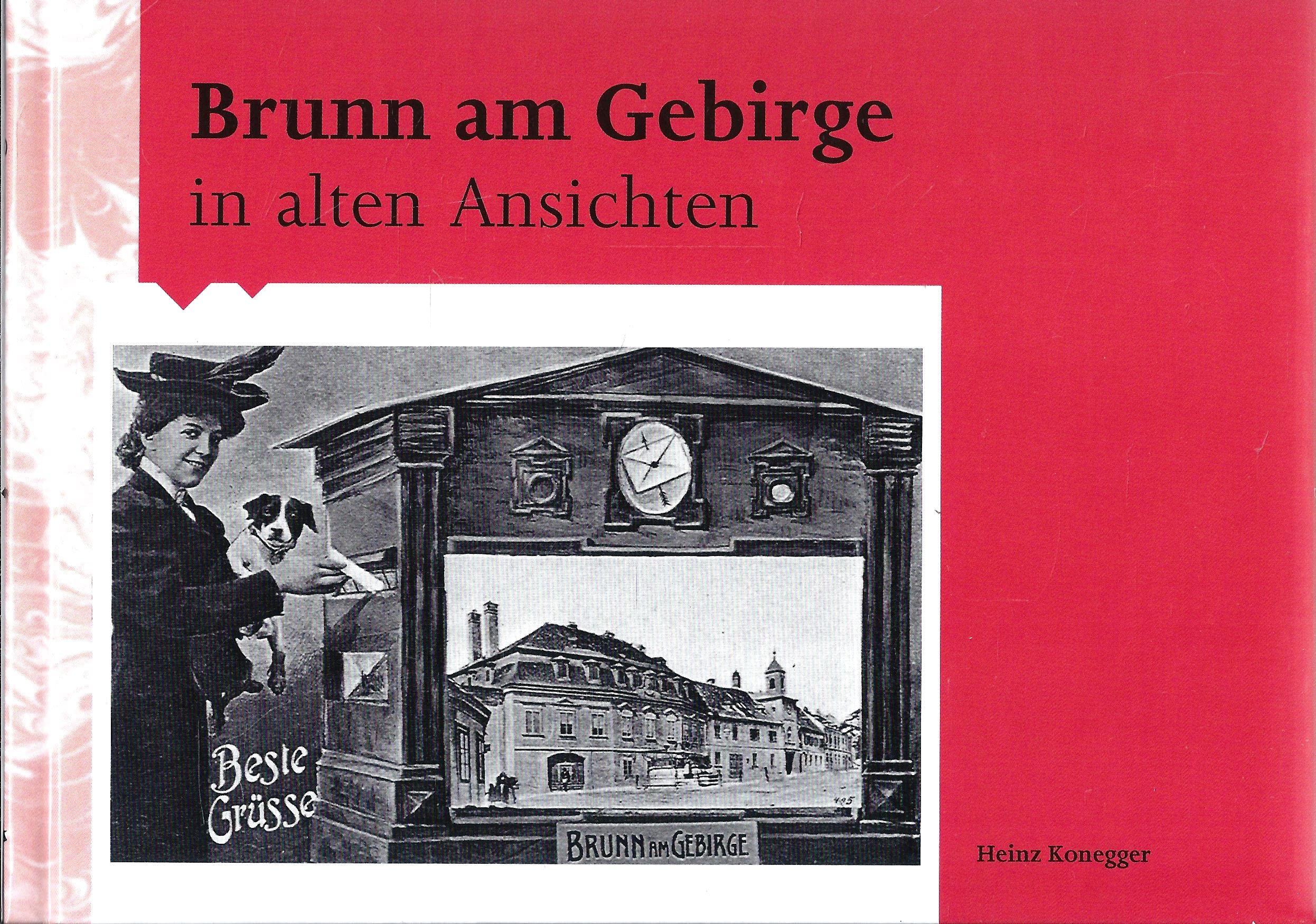 Brunn am Gebirge in alten Ansichten - Die Damals Reihe Books