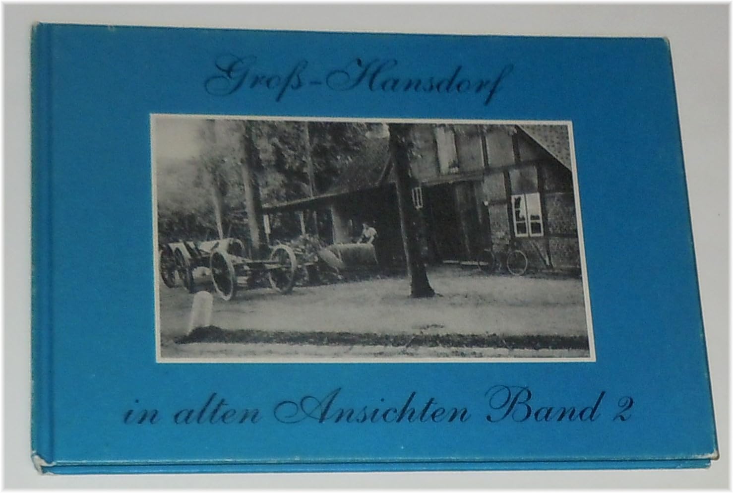 Groß- Hansdorf in alten Ansichten II Books