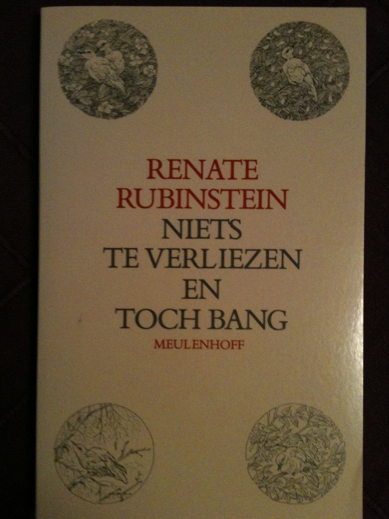NIETS TE VERLIEZEN EN TOCH BAN Books