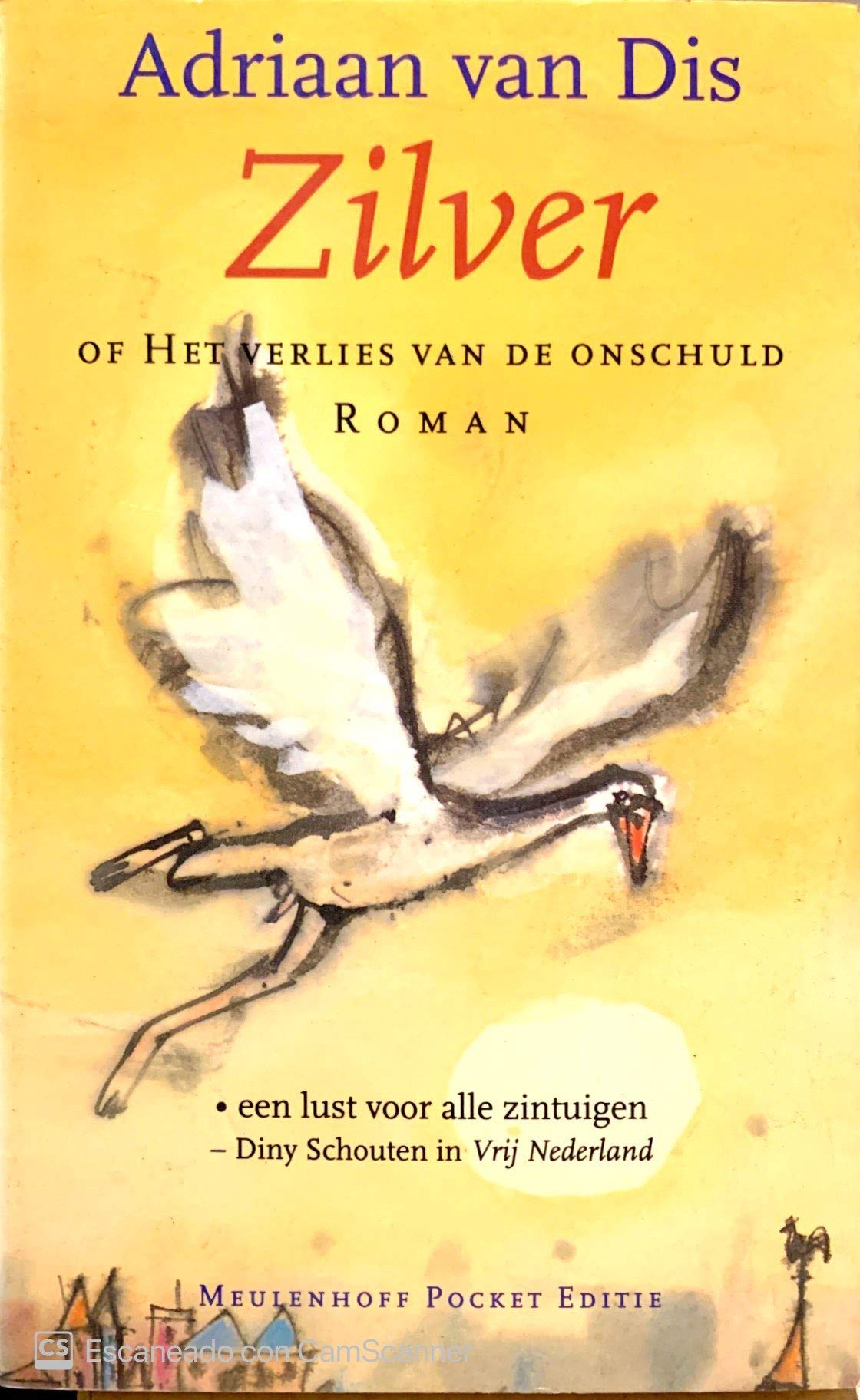 Zilver, of Het verlies van de onschuld (Meulenhoff pocket editie) Contemporary literature