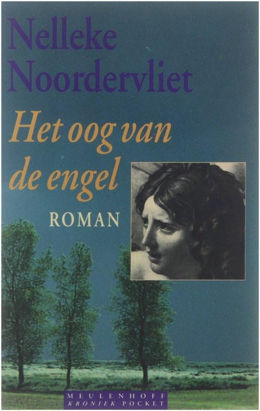 Het oog van de engel (Meulenhoff kroniek pocket) Contemporary literature