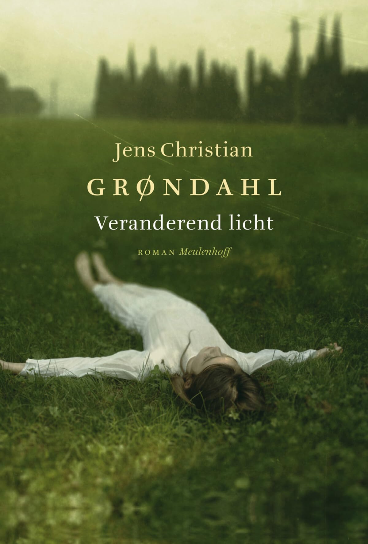 Veranderend licht book