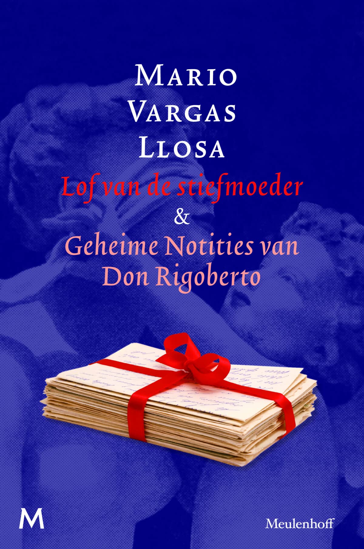 Lof van de stiefmoeder & Geheime notities van Don Rigoberto book