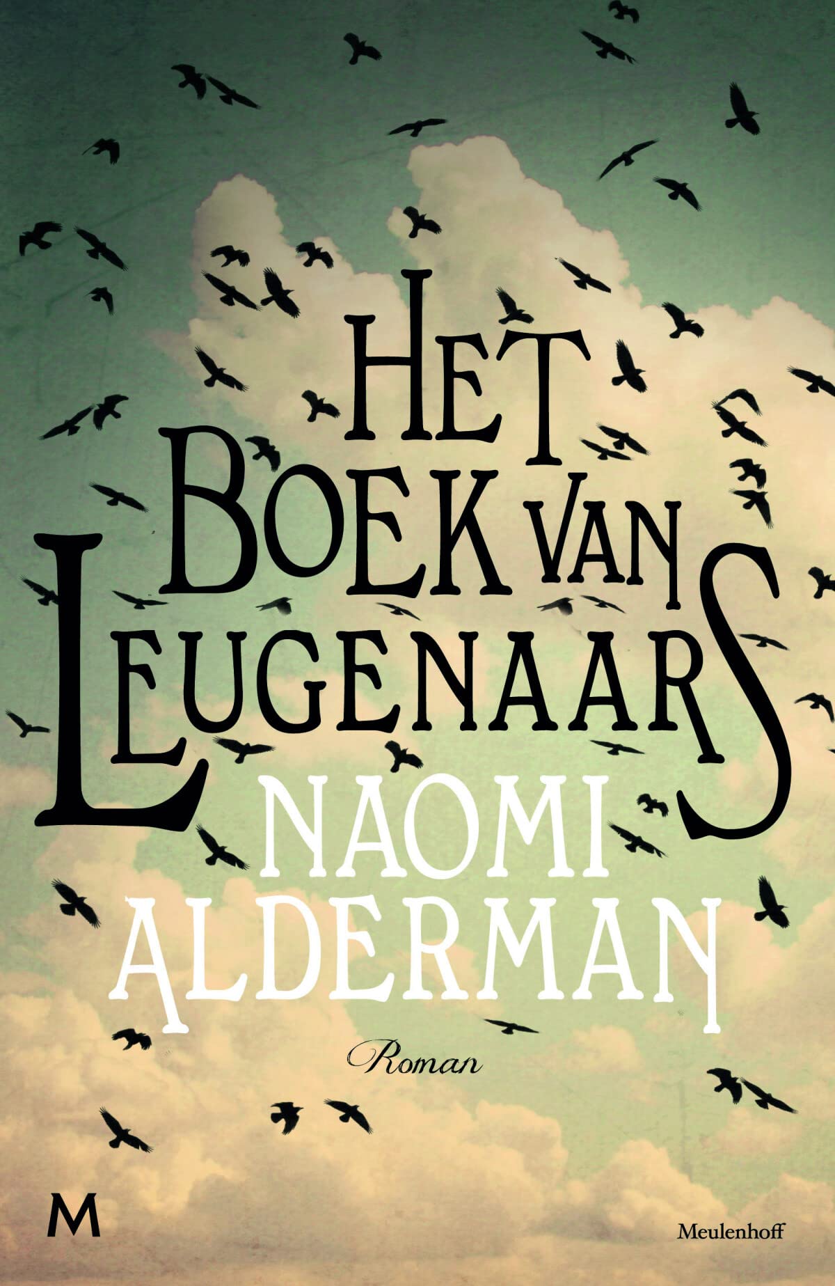 Het boek van leugenaars: roman book