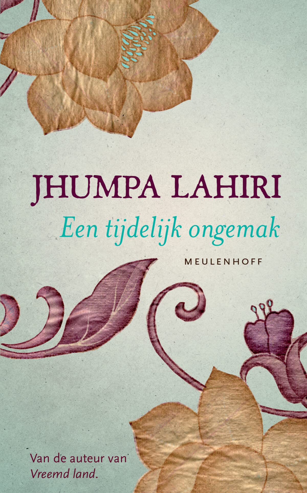 Een tijdelijk ongemak: roman book