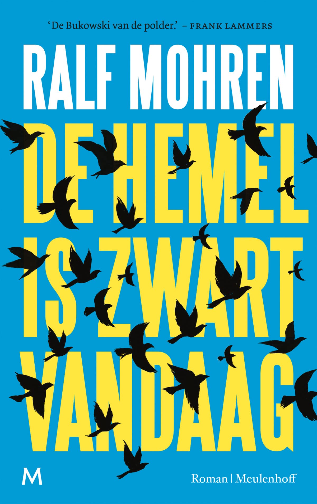 De hemel is zwart vandaag: roman book