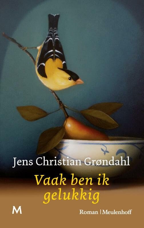 Vaak ben ik gelukkig: roman book