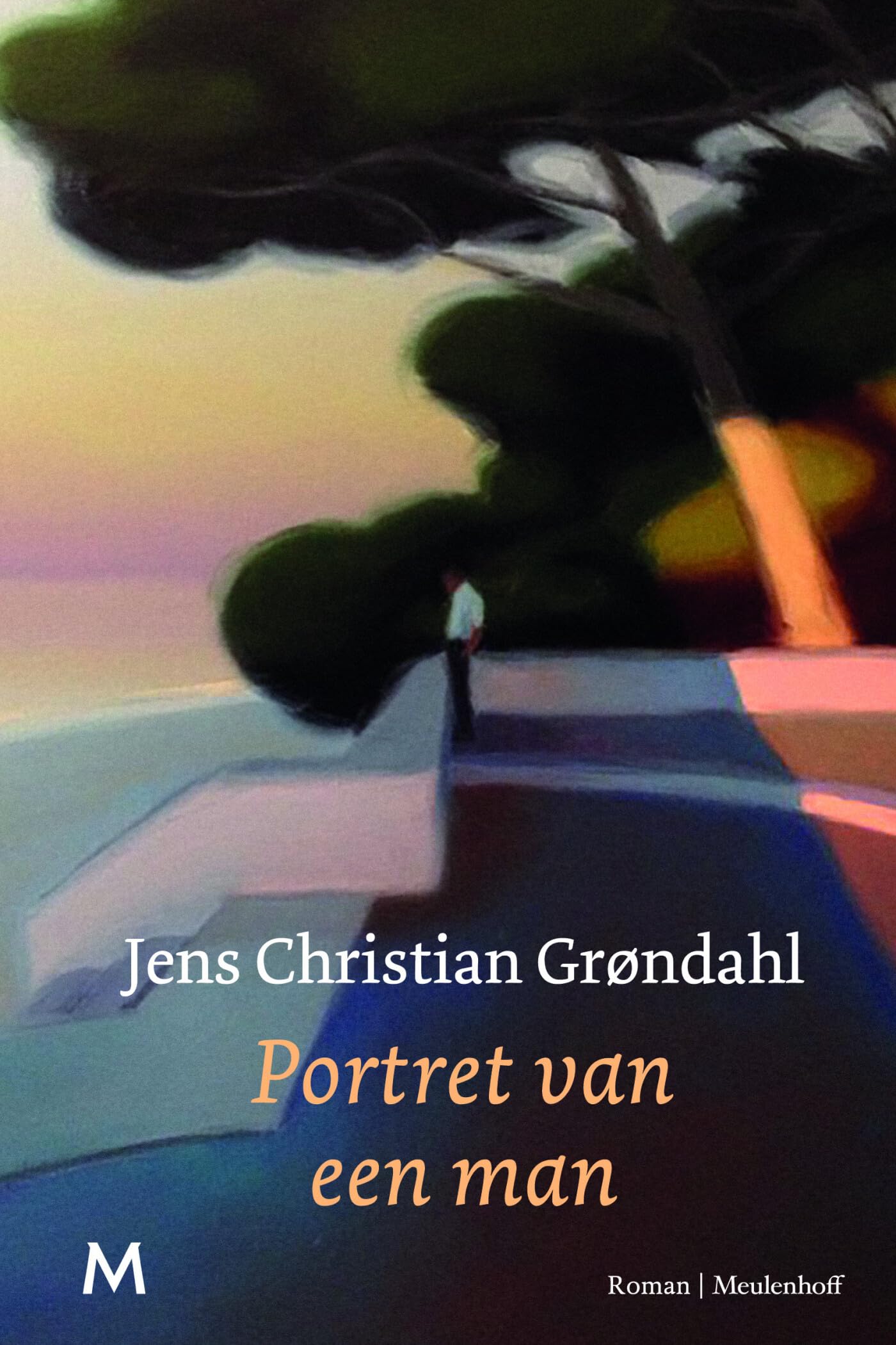 Portret van een man: roman Contemporary literature