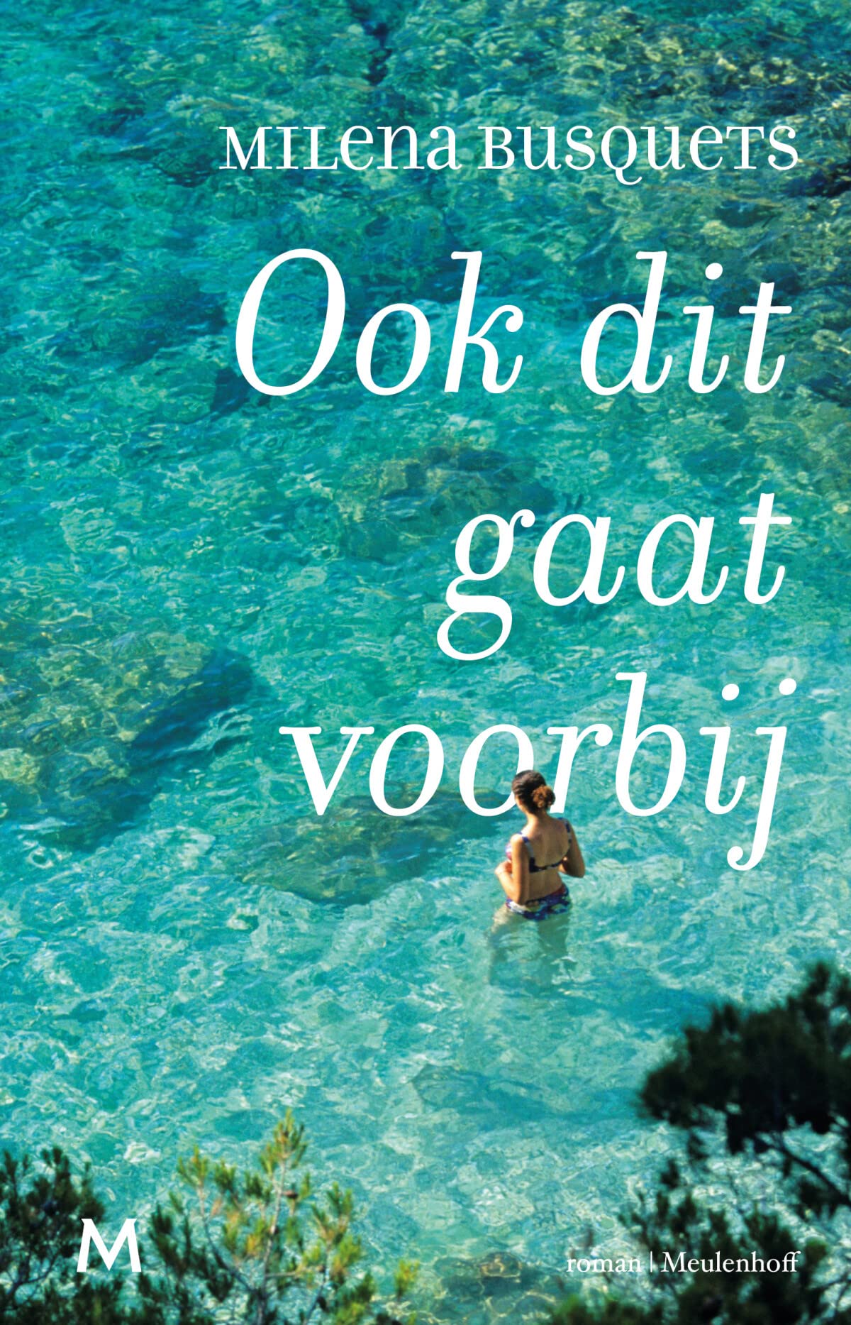 Ook dit gaat voorbij: roman book