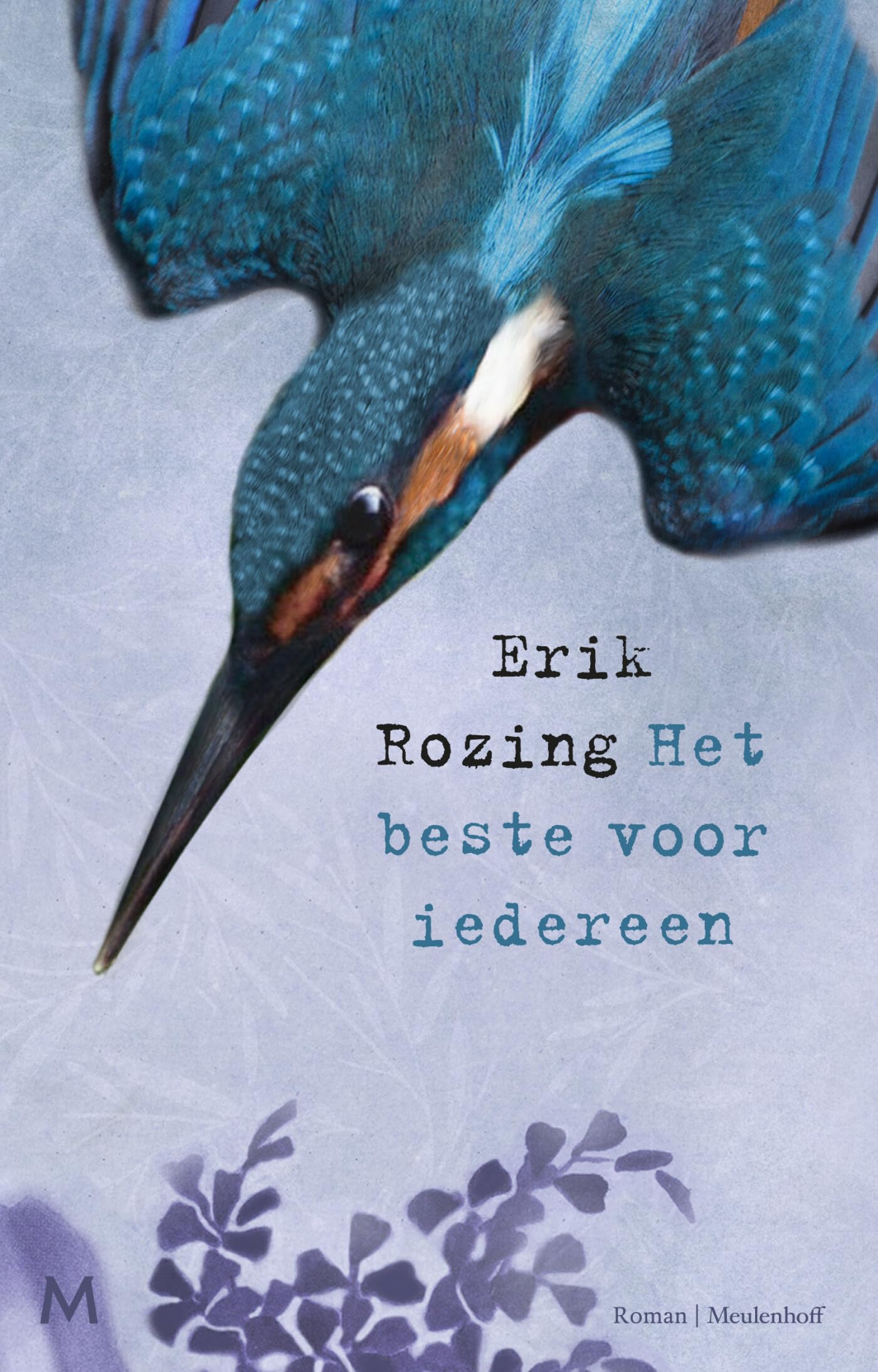 Het beste voor iedereen: roman (Stella, 2) Contemporary literature
