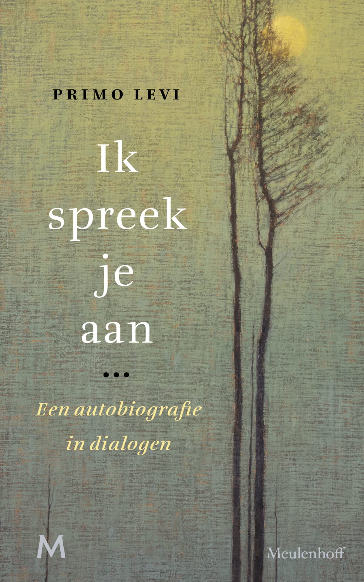 Ik spreek je aan: een autobiografie in dialogen book