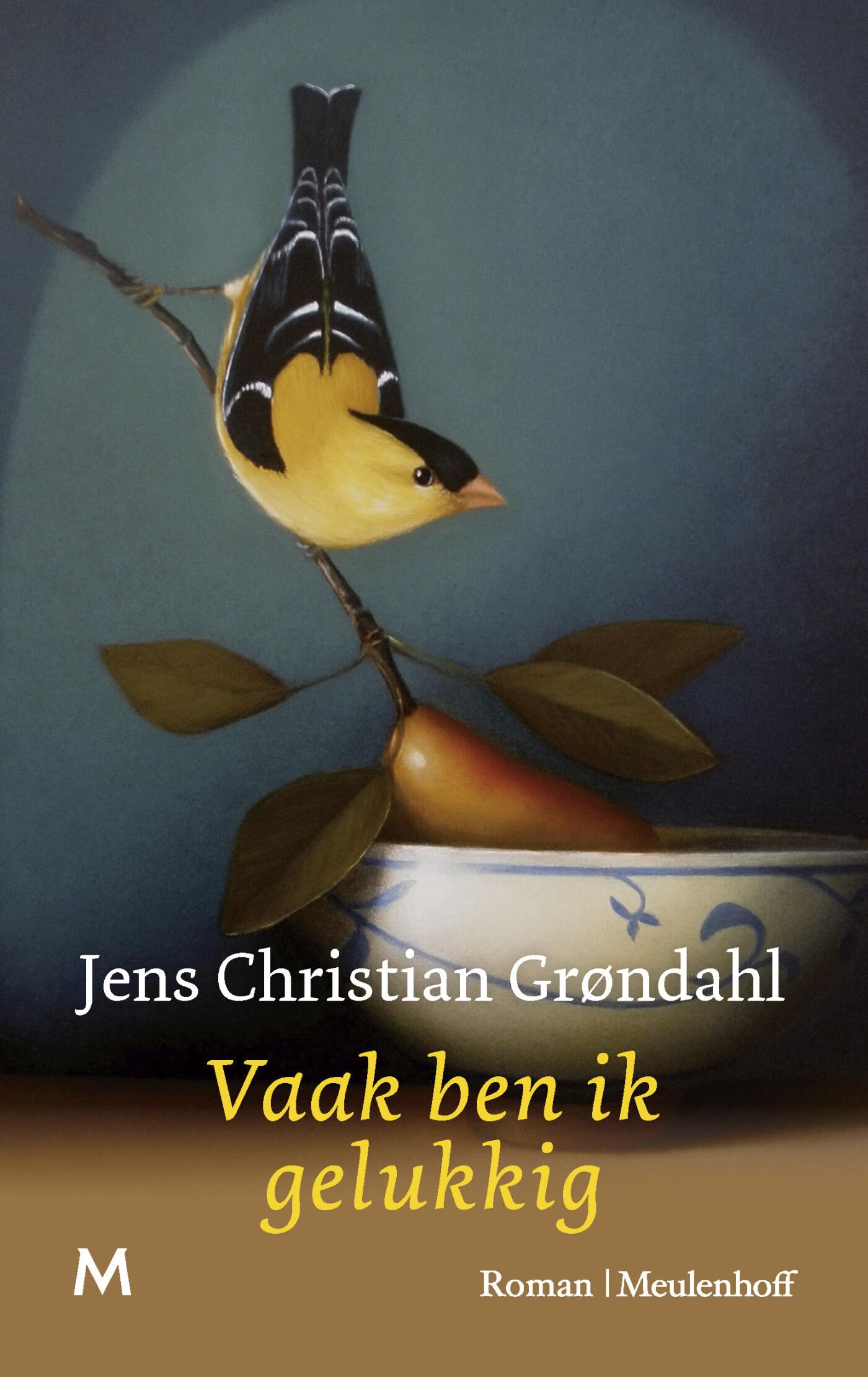 Vaak ben ik gelukkig Contemporary literature