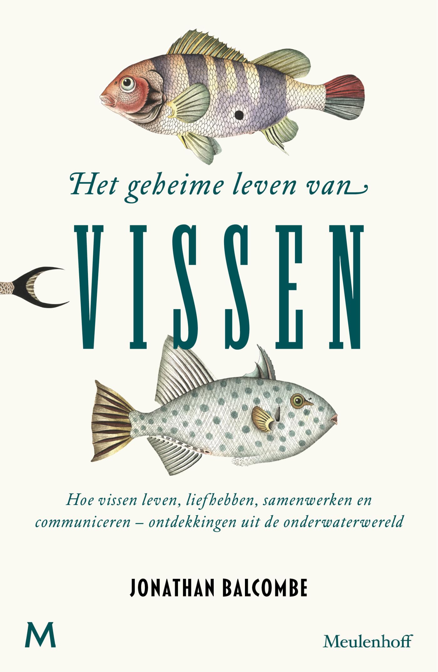 Het geheime leven van vissen: Hoe vissen leven, liefhebben, samenwerken en communiceren - ontdekkingen uit de onderwaterwereld Mathematics