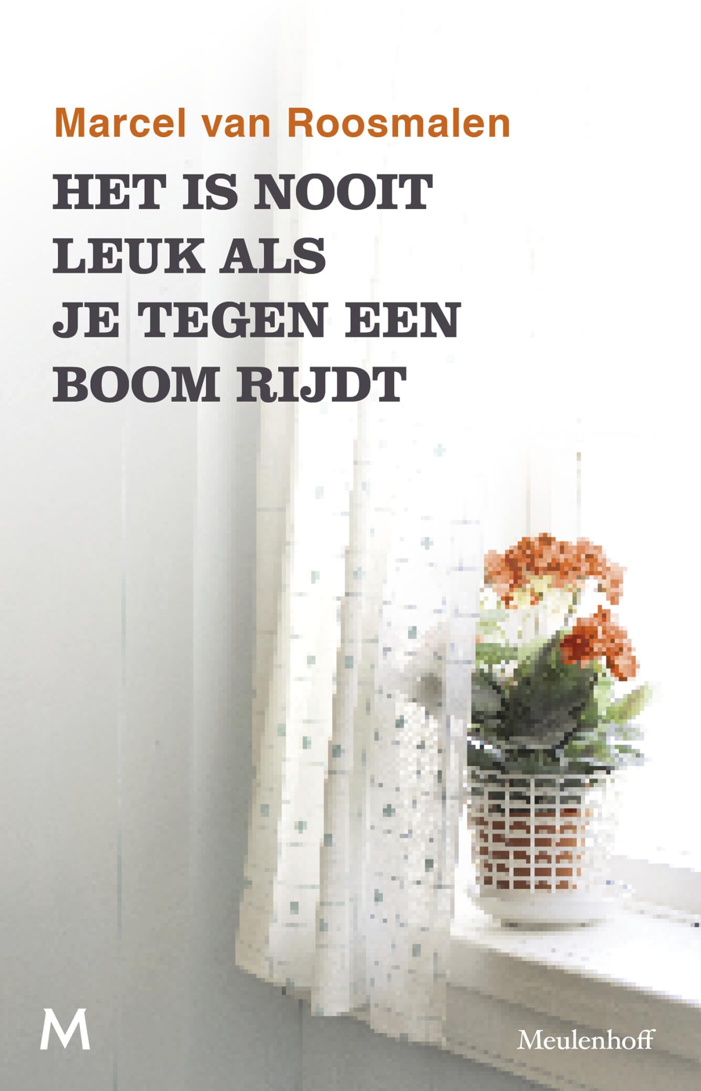 Het is nooit leuk als je tegen een boom rijdt: Kleine verhalen uit een groot land Contemporary literature
