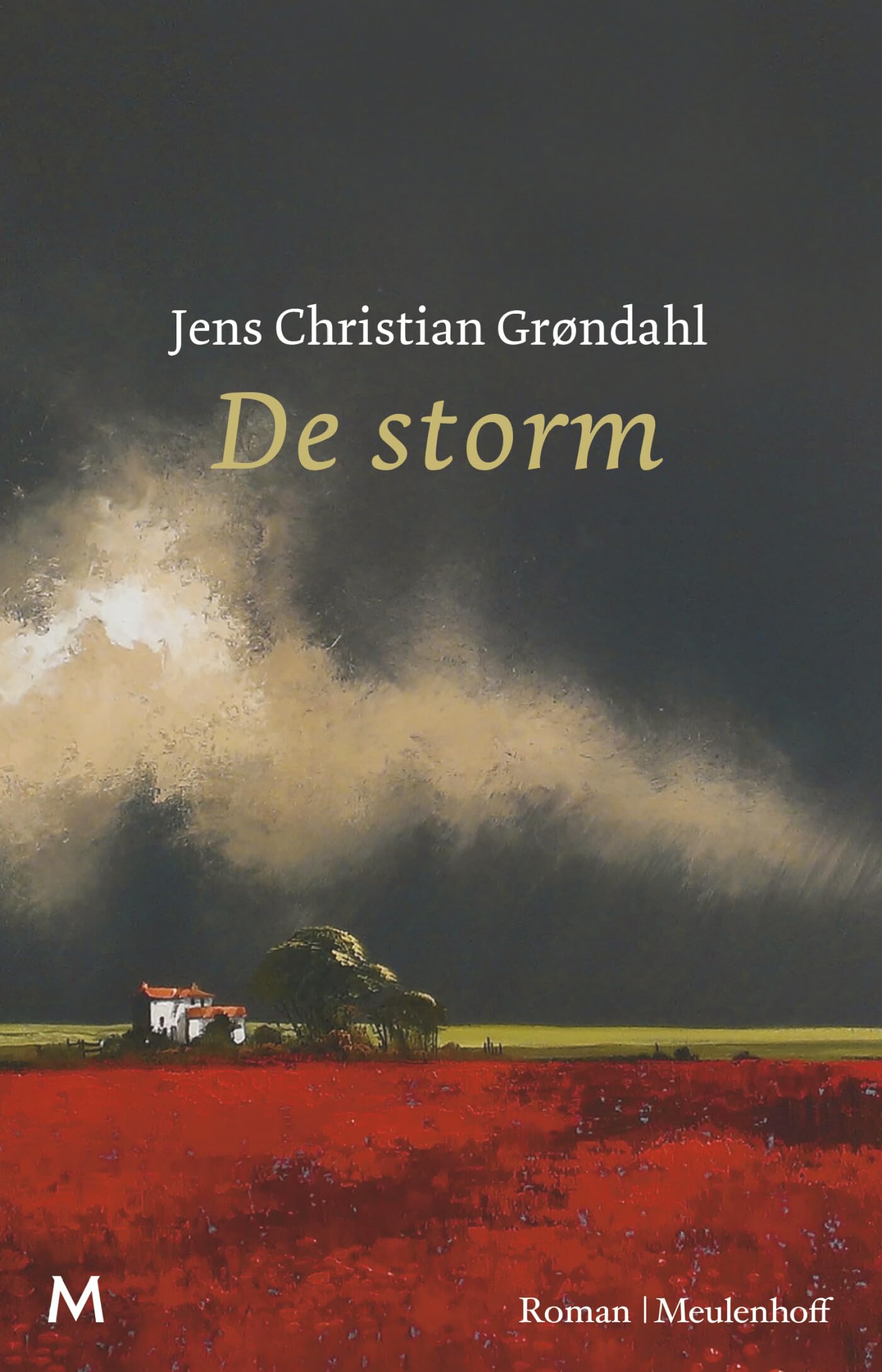 De storm: roman Contemporary literature