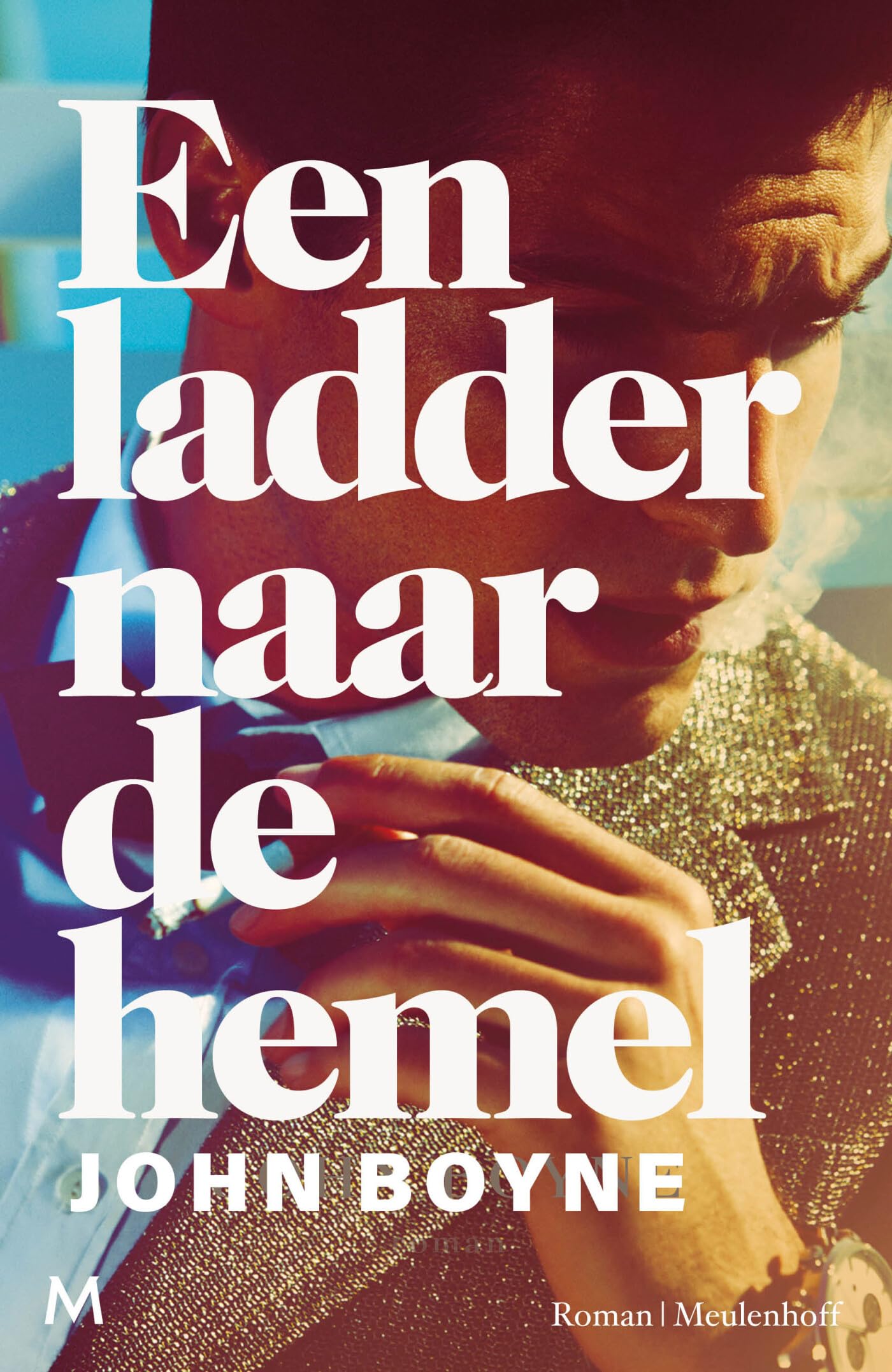 Een ladder naar de hemel: roman Contemporary literature
