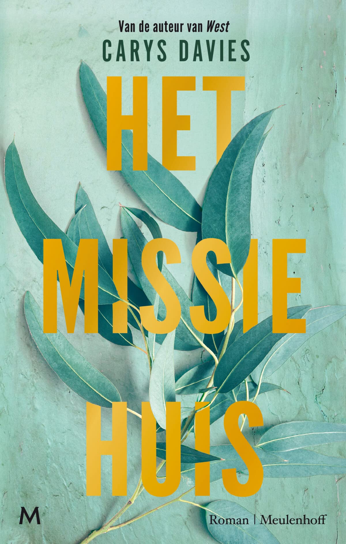 Het missiehuis: roman book
