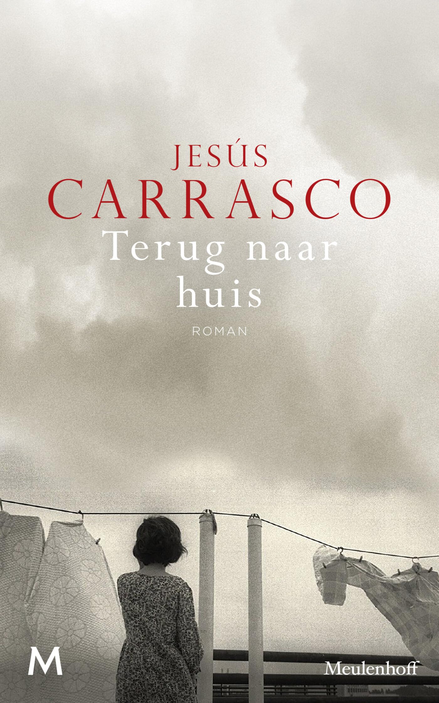 Terug naar huis: roman book