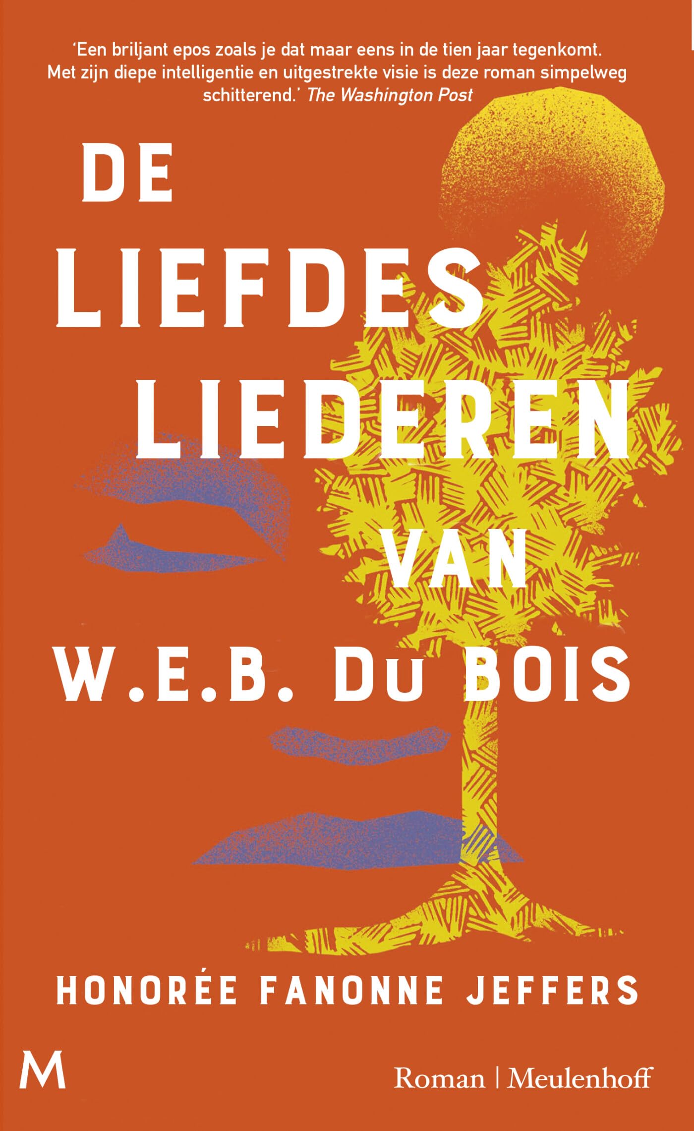 De liefdesliederen van W.E.B. Du Bois: roman book