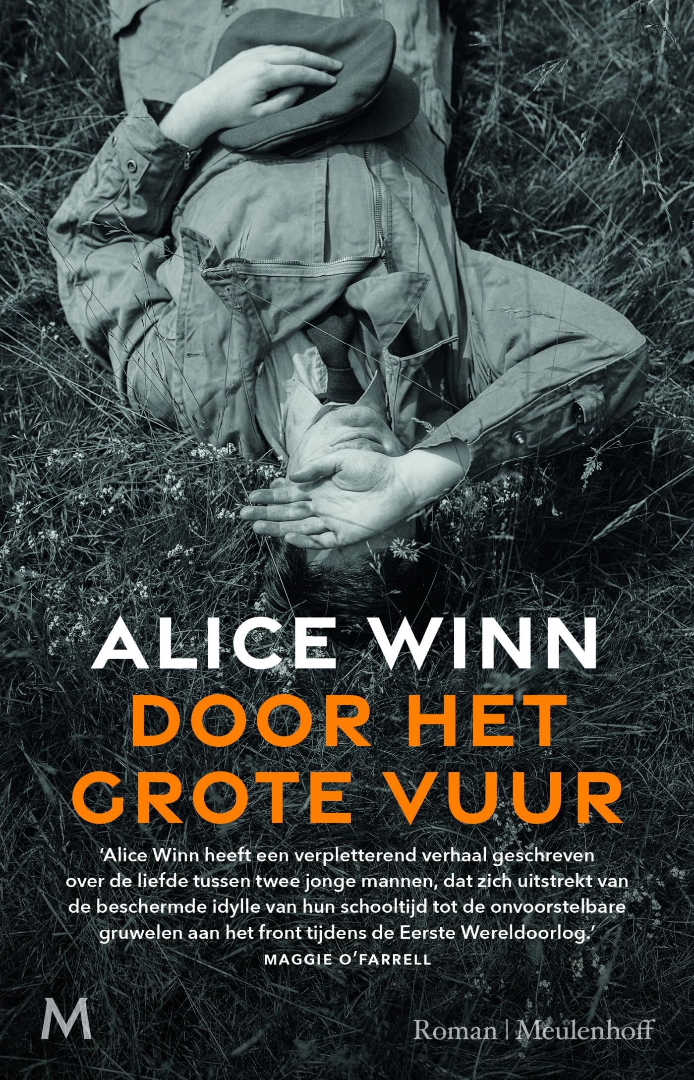 Door het grote vuur: roman book