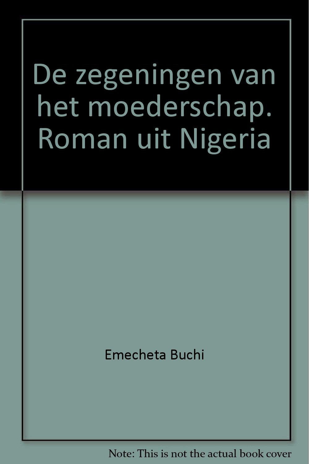 De zegeningen van het moederschap. Roman uit Nigeria book