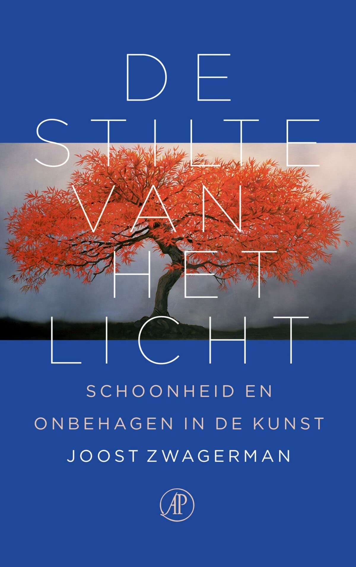 De stilte van het licht: schoonheid en onbehagen in de kunst Memories