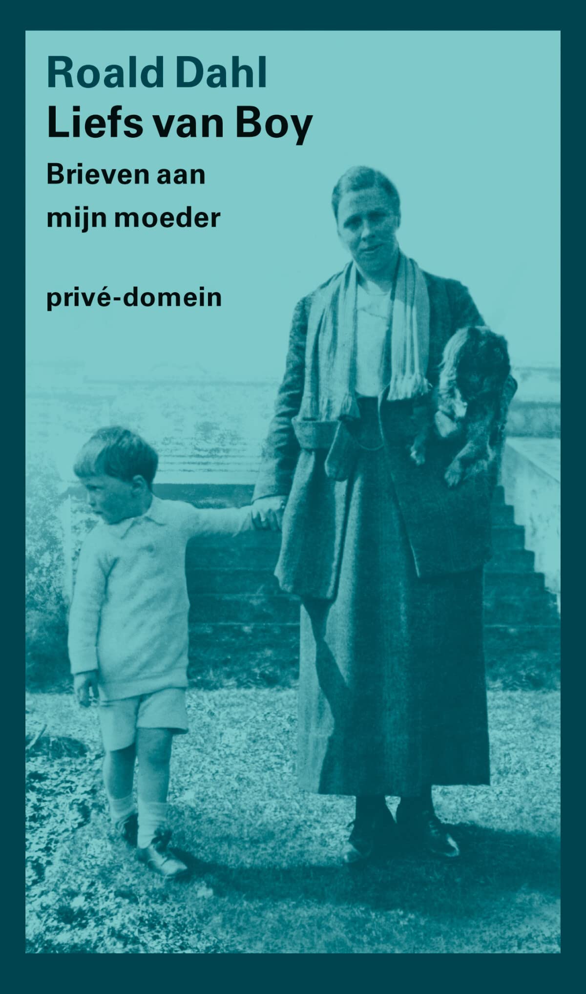 Liefs van Boy: brieven van Roald Dahl aan zijn moeder book