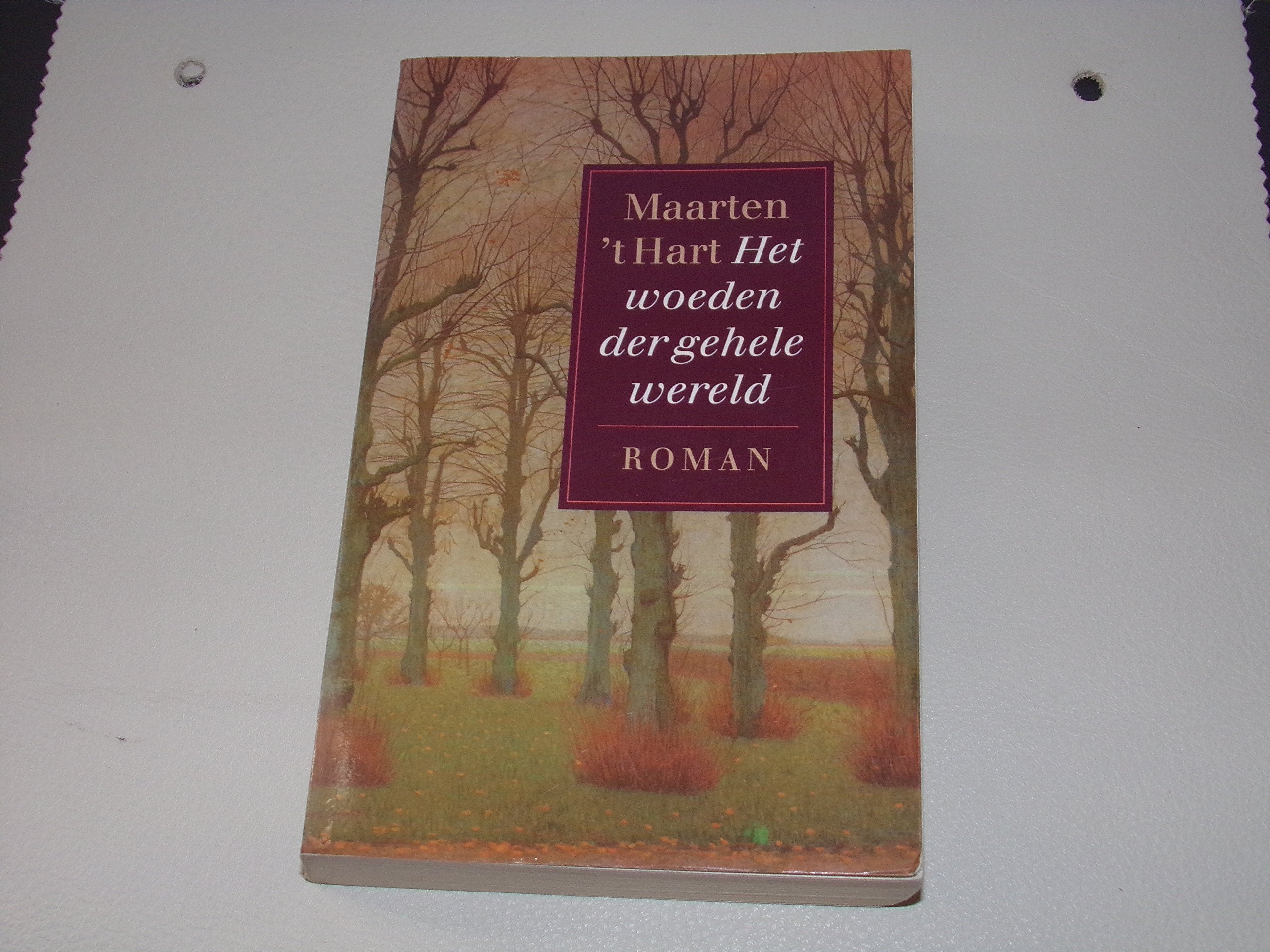 Het woeden der gehele wereld: roman book