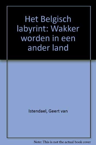 Het Belgisch labyrint: wakker worden in een ander land Politics & History
