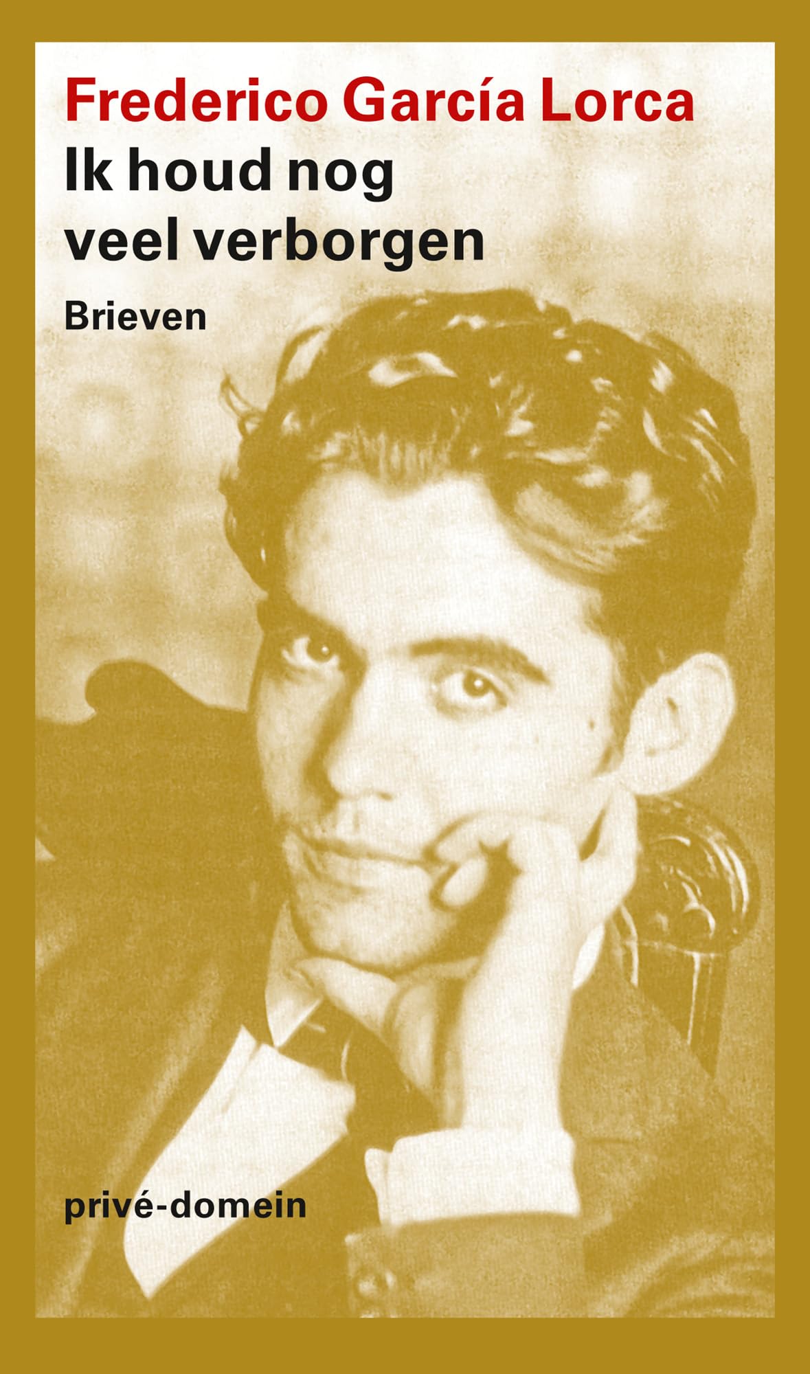 Ik houd nog veel verborgen: Brieven (Privé-domein, 332) Art & Literature