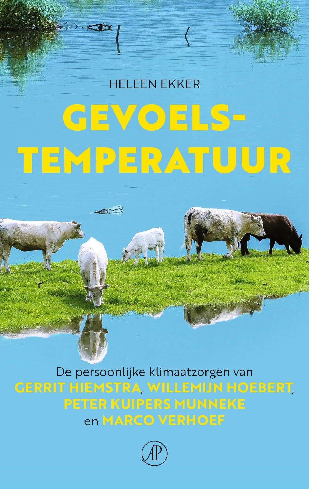 Gevoelstemperatuur: de persoonlijke klimaatzorgen van Gerrit Hiemstra, Willemijn Hoebert, Peter Kuipers Munneke en Marco Verhoef book