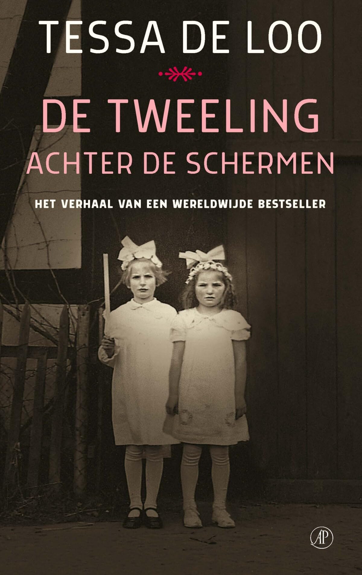De tweeling achter de schermen: het verhaal van een wereldwijde bestseller book