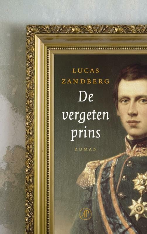 De vergeten prins: roman book
