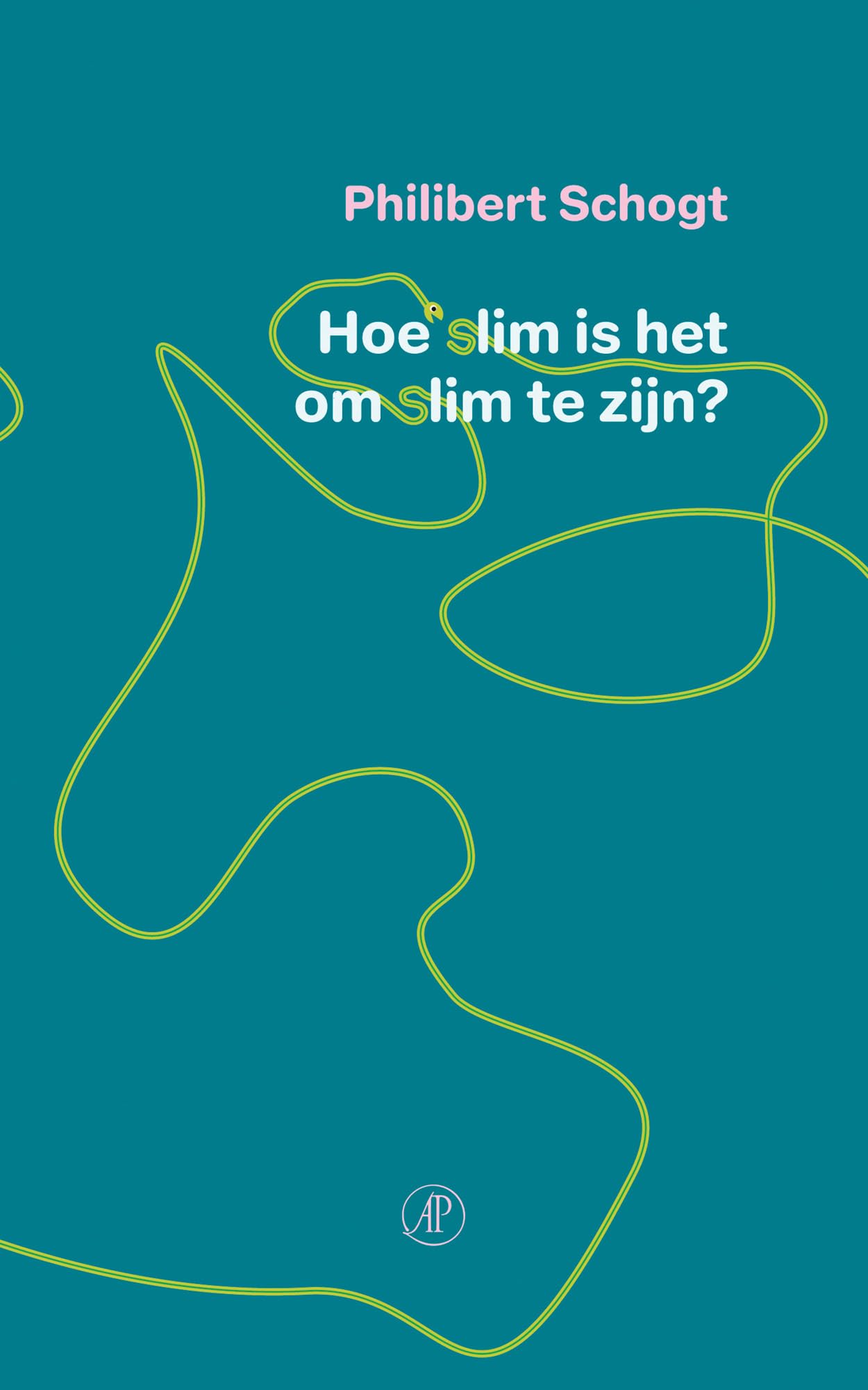 Hoe slim is het om slim te zijn book