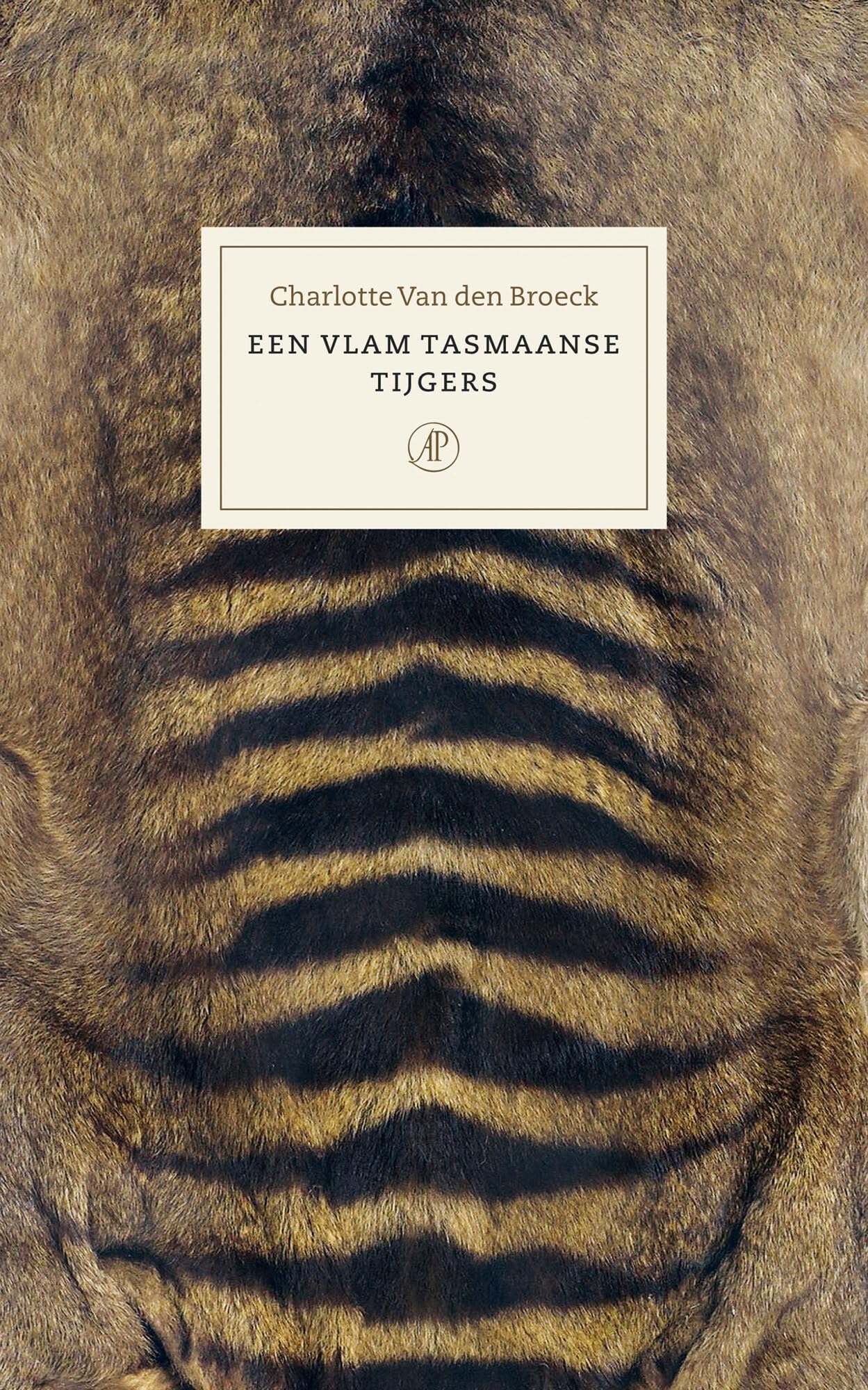 Een vlam Tasmaanse tijgers Leisure, Home & Garden