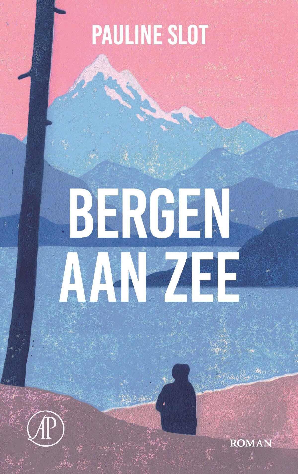 Bergen aan zee: roman Contemporary literature