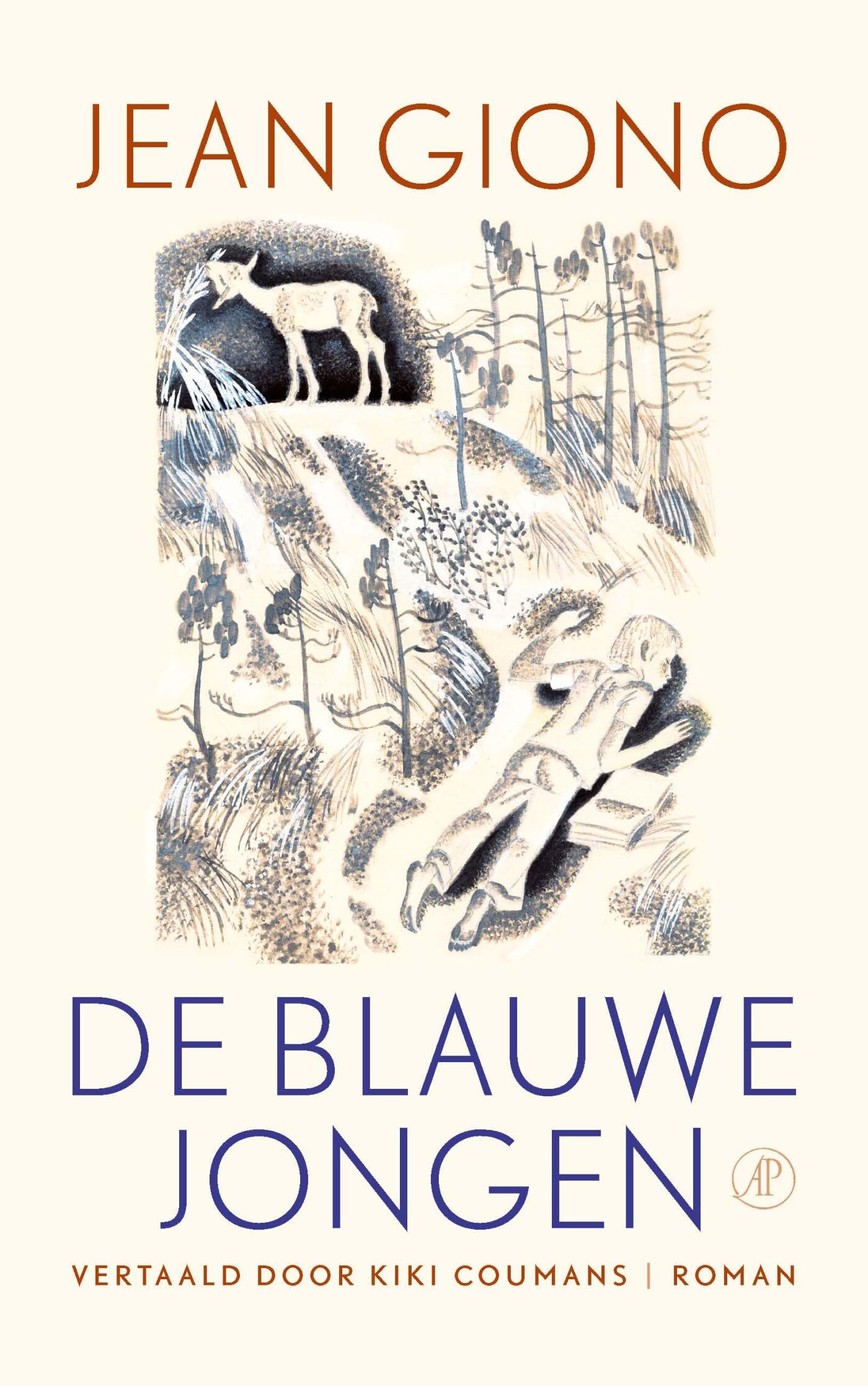 De blauwe jongen: roman book