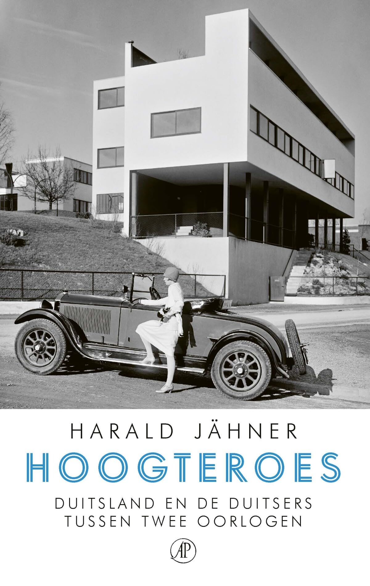 Hoogteroes: Duitsland en de Duitsers tussen twee oorlogen Politics & History