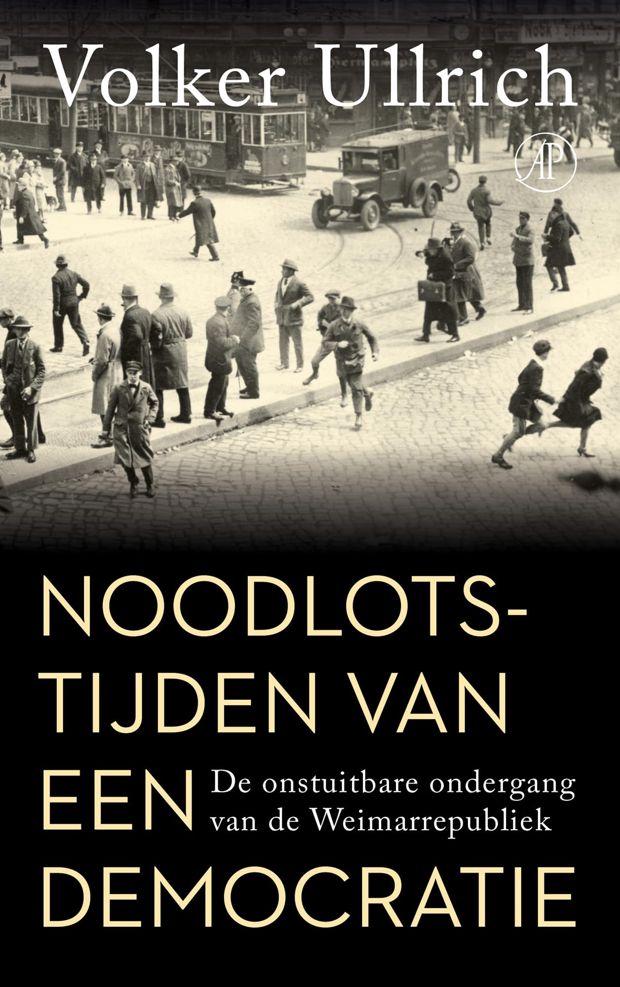Noodlotstijden van een democratie: de onstuitbare ondergang van de Weimar-republiek Social Sciences