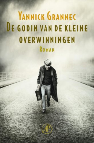 De godin van de kleine overwinningen book