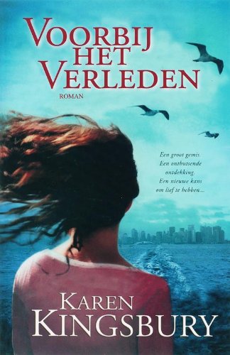 Voorbij het verleden book