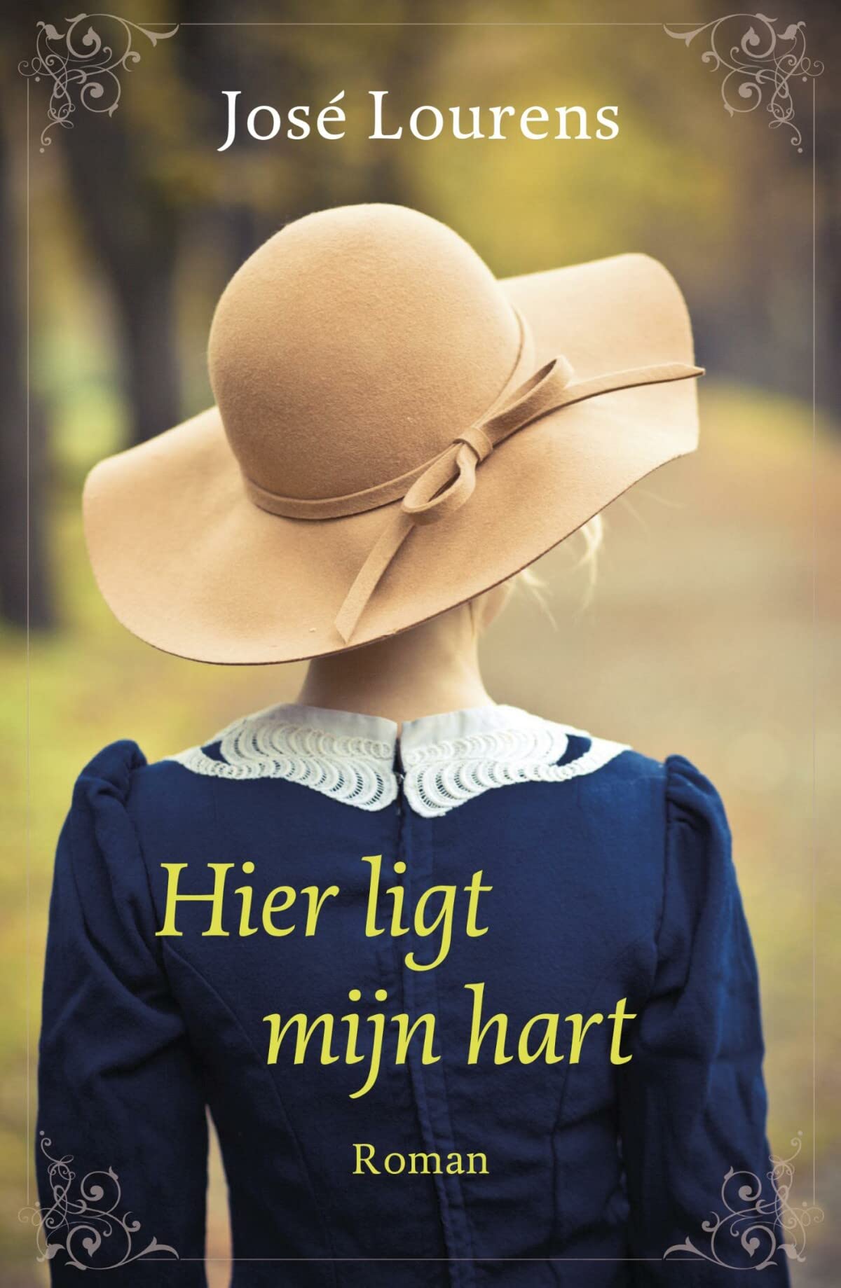 Hier ligt mijn hart: roman book