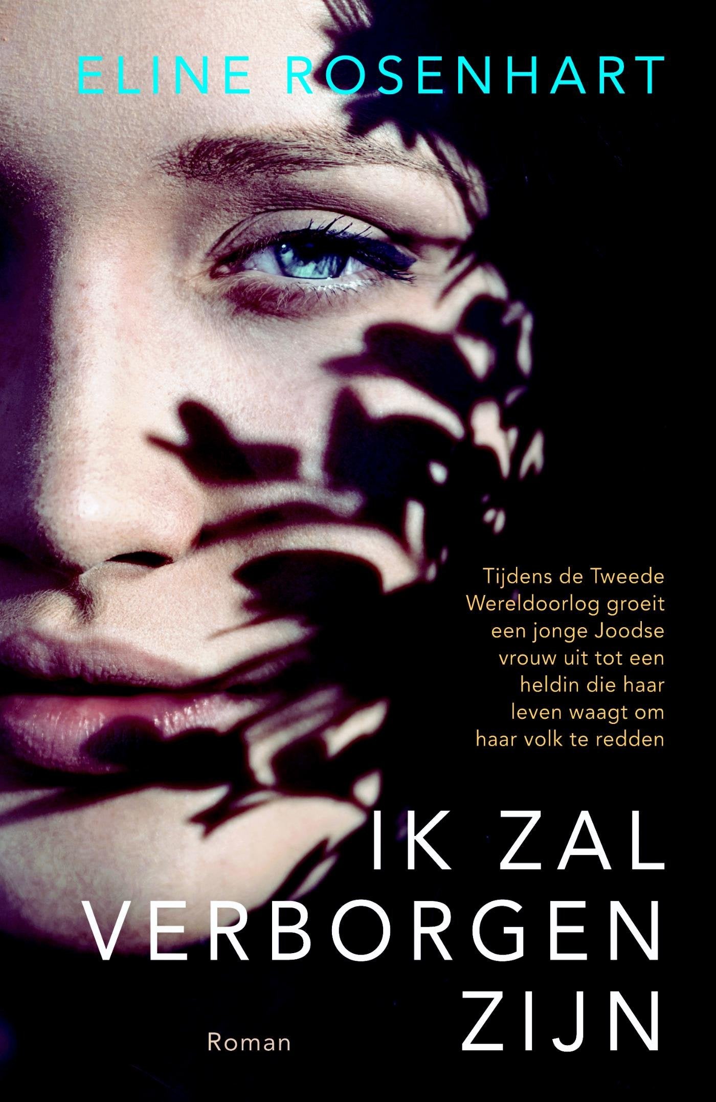 Ik zal verborgen zijn: roman book