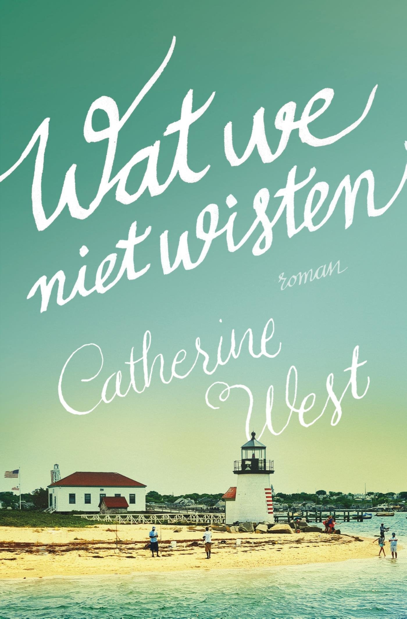 Wat we niet wisten: roman Contemporary literature